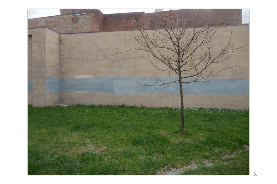 Blue Stripe Wall with Tree