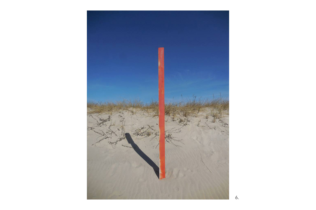 Orange Pole Vertical