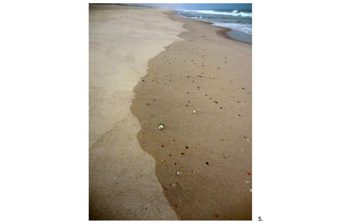 03B Beach Dry Wet Sand Small Shells